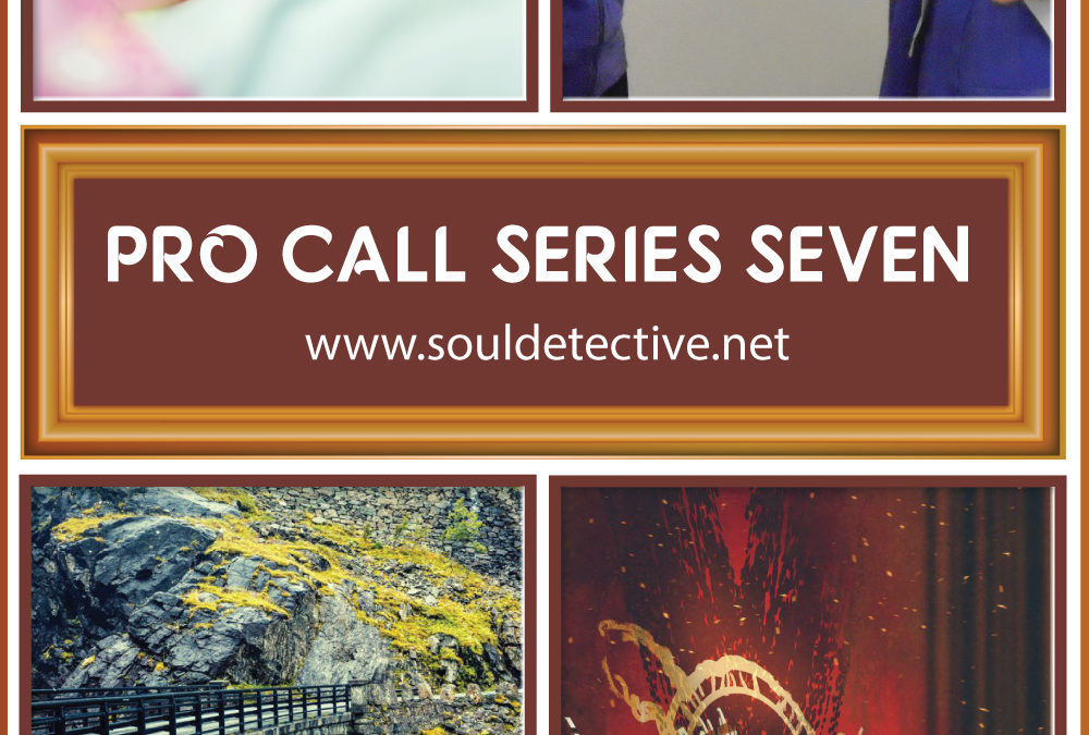 Pro Call Series Seven collage: baby, handshake, bridge